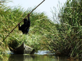 “El Jardín del Edén” se convirtió en Patrimonio Mundial de la UNESCO