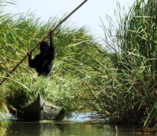 “El Jardín del Edén” se convirtió en Patrimonio Mundial de la UNESCO