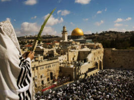 Se Cumple Zacarías 14: Reyes Africanos Alaban a Dios en Israel