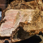 Conozca la Biblia que «Sobrevivió» a la caída de las Torres Gemelas