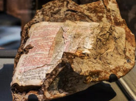 Conozca la Biblia que «Sobrevivió» a la caída de las Torres Gemelas