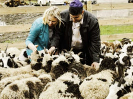 “Ovejas de Jacob” regresan a Israel después de más de 2000 años