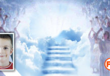 Niño de 8 años testifica luego de accidente: «Jesús es real, Hay un Cielo con Ángeles»