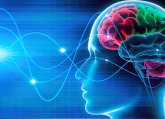 «La oración tiene el poder de regenerar el cerebro», comprueba médico cristiano