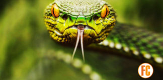 3 cosas que debes saber sobre las tentaciones del diablo