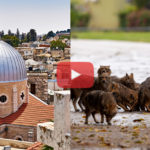 Cumplimiento profético de Jeremías ante invasión de Chacales en Israel