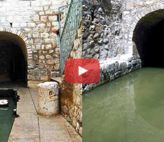 Milagro en Israel: Se cumple la profecía de Deuteronomio luego de varios años de Sequía